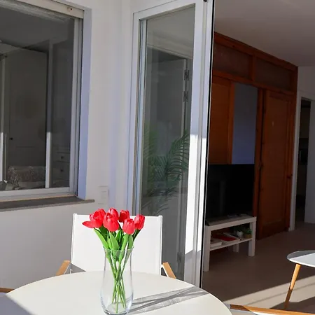 Apartamento En Primera Línea De Playa